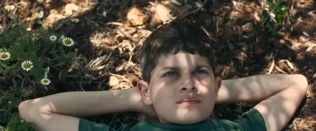 以色列电影国际参展受阻，文化资金政策引发行业反弹 - 相关图片