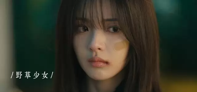 《唇枪》杀青王格格代高政主演都市爱情剧定档待官宣 - 细节速览